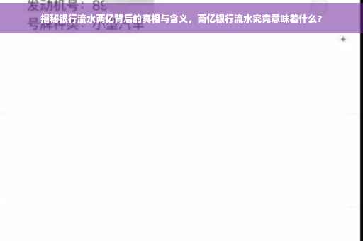 揭秘银行流水两亿背后的真相与含义，两亿银行流水究竟意味着什么？