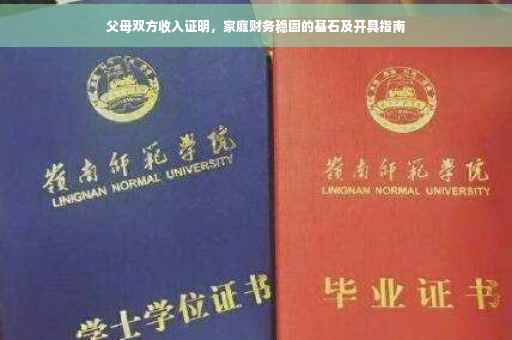 父母双方收入证明，家庭财务稳固的基石及开具指南