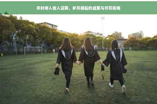 农村老人收入证明，岁月耕耘的成果与书写指南