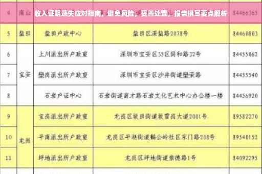 收入证明遗失应对指南，避免风险，妥善处置，报告撰写要点解析