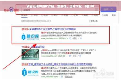 领养证明书图片详解，重要性、图片大全一网打尽