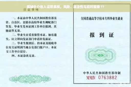 揭秘中介收入证明真相，风险、违法性与应对策略 ??