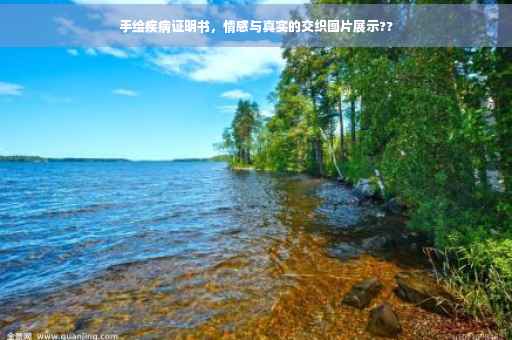 手绘疾病证明书，情感与真实的交织图片展示??