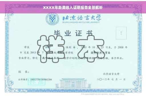 XXXX年赴美收入证明报告全景解析