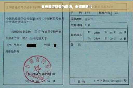 向老婆证明爱的承诺，老婆证明书