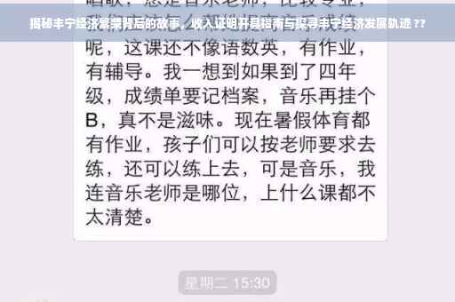 揭秘丰宁经济繁荣背后的故事，收入证明开具指南与探寻丰宁经济发展轨迹 ??