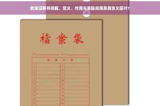 数量证明书详解，定义、作用与实际应用及其含义探讨?