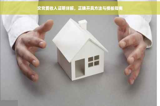 交党费收入证明详解，正确开具方法与模板指南
