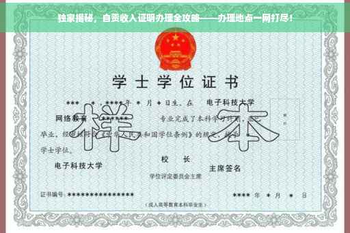 独家揭秘，自贡收入证明办理全攻略——办理地点一网打尽！