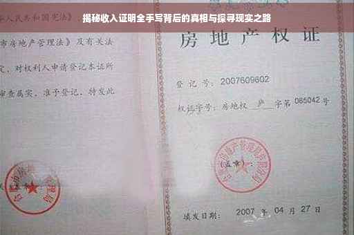揭秘收入证明全手写背后的真相与探寻现实之路