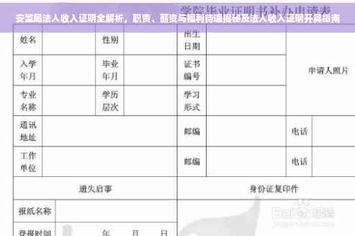 安监局法人收入证明全解析，职责、薪资与福利待遇揭秘及法人收入证明开具指南