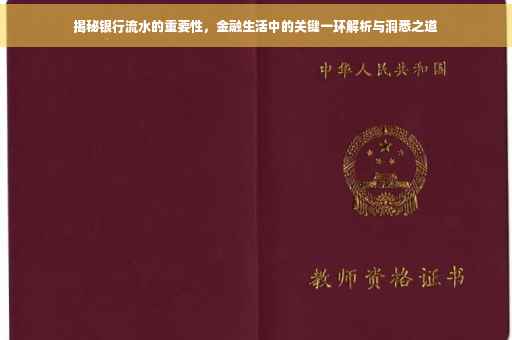 揭秘银行流水的重要性，金融生活中的关键一环解析与洞悉之道