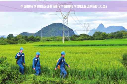 中国技师学院毕业证书图片(中国技师学院毕业证书图片大全)