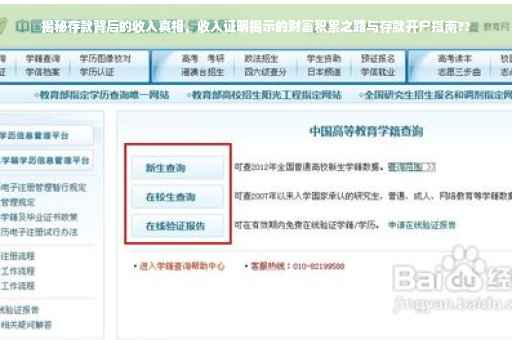 揭秘存款背后的收入真相，收入证明揭示的财富积累之路与存款开户指南??