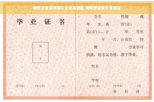 教官毕业证书图片大全高清版,考教官证多少天拿证