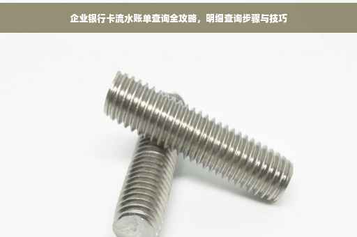 企业银行卡流水账单查询全攻略，明细查询步骤与技巧