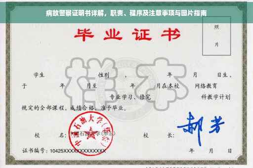 病故警察证明书详解，职责、程序及注意事项与图片指南