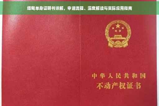 缅甸单身证明书详解，申请流程、深度解读与实际应用指南