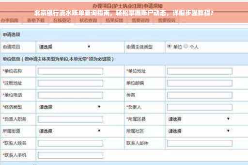 北京银行流水账单查询指南，轻松掌握账户动态，详细步骤教程?