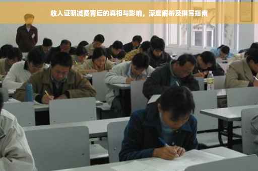 收入证明减费背后的真相与影响，深度解析及撰写指南