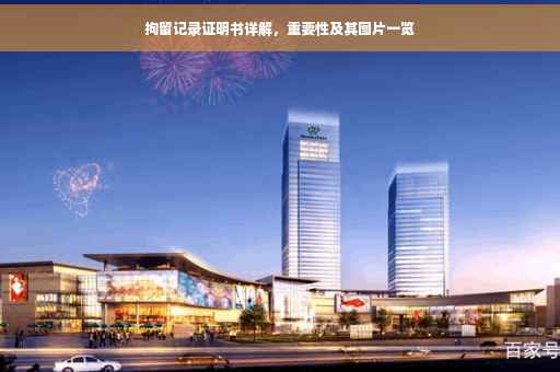 拘留记录证明书详解，重要性及其图片一览