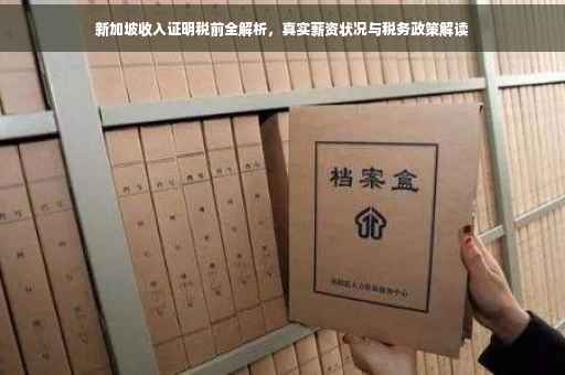 新加坡收入证明税前全解析，真实薪资状况与税务政策解读