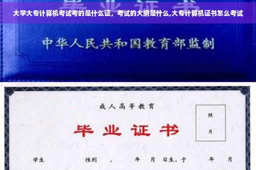大学大专计算机考试考的是什么证，考试的大纲是什么,大专计算机证书怎么考试