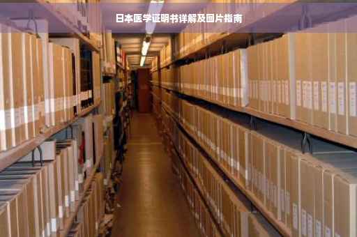 日本医学证明书详解及图片指南