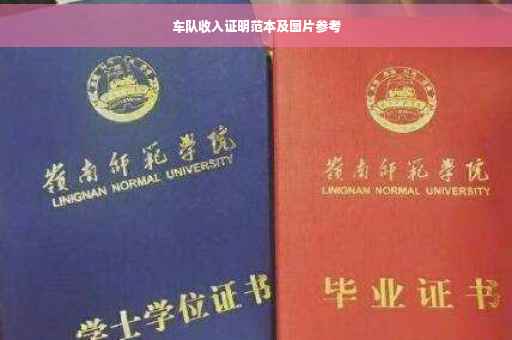 车队收入证明范本及图片参考
