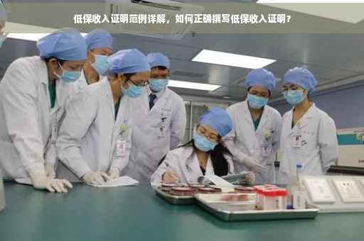 低保收入证明范例详解，如何正确撰写低保收入证明？