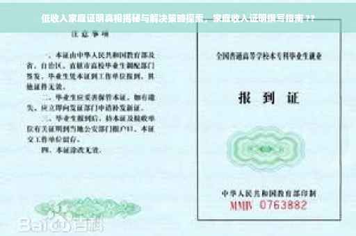 低收入家庭证明真相揭秘与解决策略探索，家庭收入证明撰写指南 ??