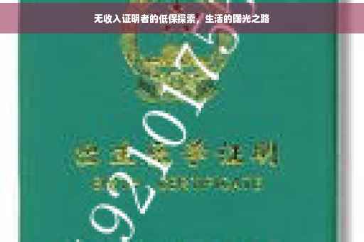无收入证明者的低保探索，生活的曙光之路