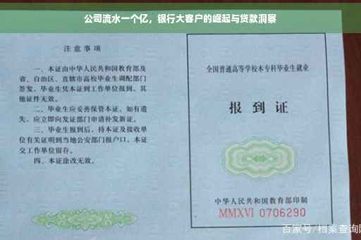 公司流水一个亿，银行大客户的崛起与贷款洞察