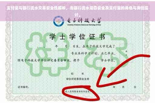 支付宝与银行流水交易安全性解析，走银行流水是否安全及支付宝的角色与责任探讨。