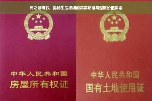 死之证明书，揭秘生命终结的真实记录与深度价值探索