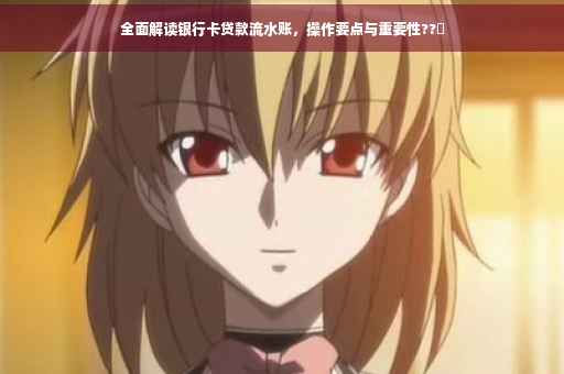 全面解读银行卡贷款流水账，操作要点与重要性??✨