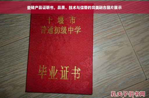 瓷砖产品证明书，品质、技术与信誉的完美融合图片展示