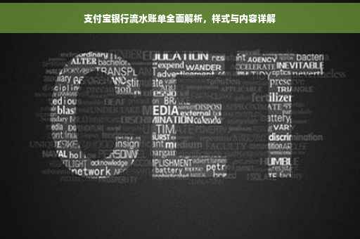 支付宝银行流水账单全面解析，样式与内容详解