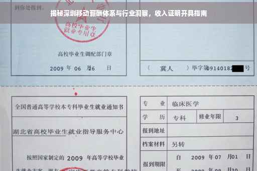 揭秘深圳移动薪酬体系与行业洞察，收入证明开具指南
