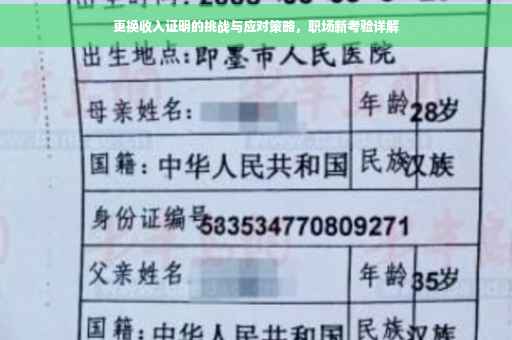 更换收入证明的挑战与应对策略，职场新考验详解