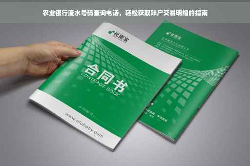 农业银行流水号码查询电话，轻松获取账户交易明细的指南