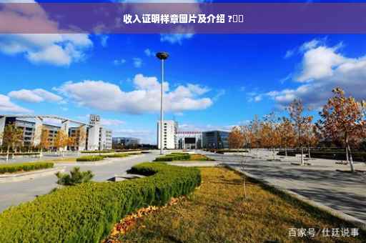 收入证明样章图片及介绍 ?⚡️