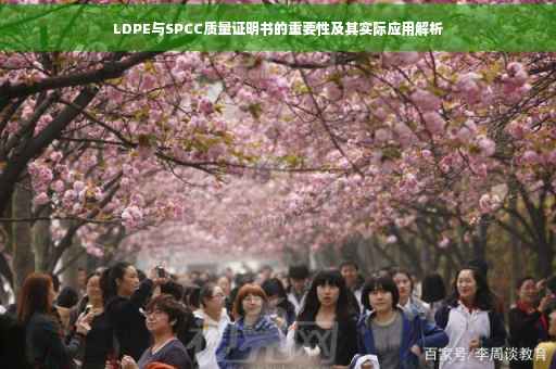 LDPE与SPCC质量证明书的重要性及其实际应用解析