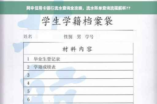 网申信用卡银行流水查询全攻略，流水账单查询流程解析??