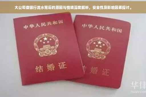 大公司查银行流水背后的原因与情境深度解析，安全性及影响因素探讨。