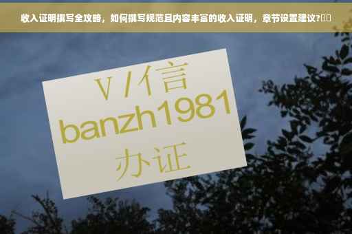 收入证明撰写全攻略，如何撰写规范且内容丰富的收入证明，章节设置建议?⚡️