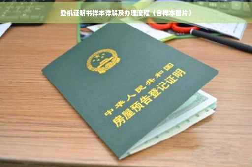 登机证明书样本详解及办理流程（含样本图片）