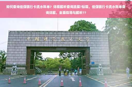 如何查询低保银行卡流水账单？详细解析查询流程?标题，低保银行卡流水账单查询详解，全面指导与解析??