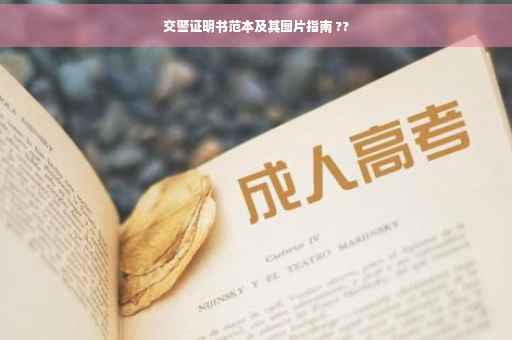 交警证明书范本及其图片指南 ??