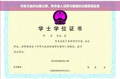 农民兄弟的出国之路，务农收入证明与稳健的出国路径探索